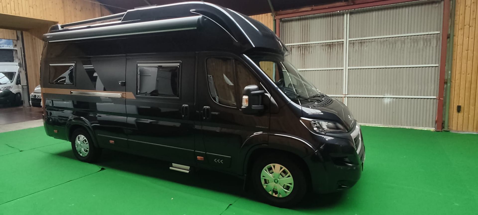 Globe-Traveller Voyager Z GLOBE TRAVELLER VOYAGER Z PEUGEOT HEAVY CHASSIS 165 PK