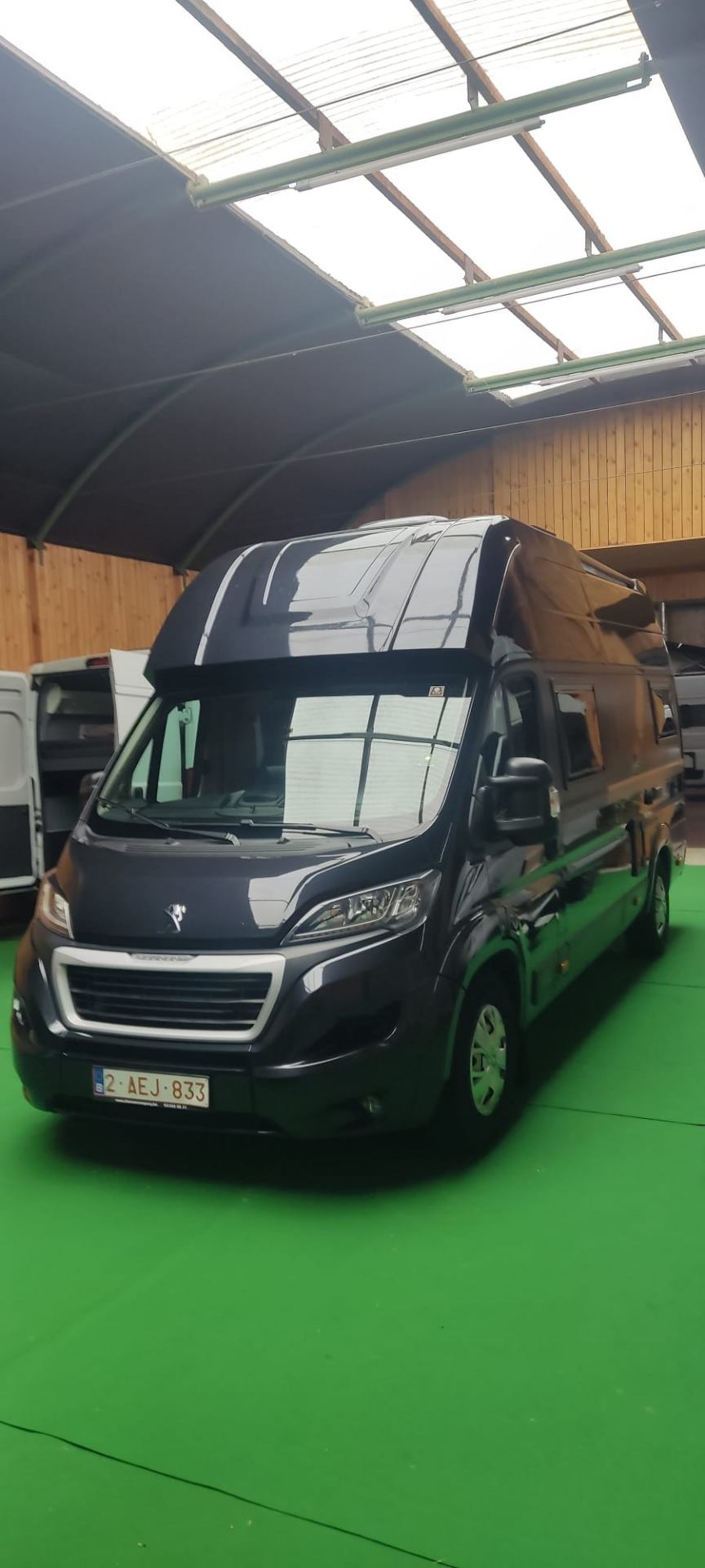 Globe-Traveller Voyager Z GLOBE TRAVELLER VOYAGER Z PEUGEOT HEAVY CHASSIS 165 PK